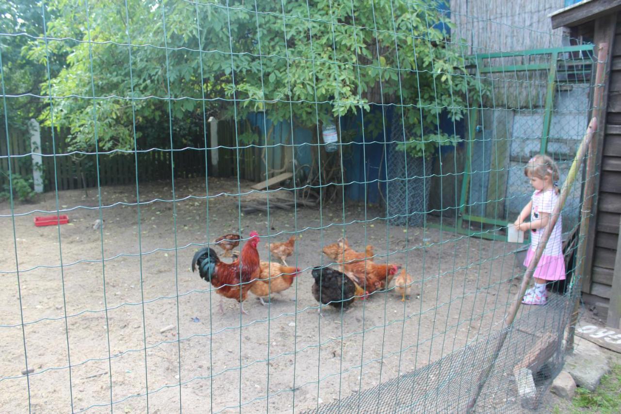 Agroturystyka Kociewiak Szteklin Esterno foto