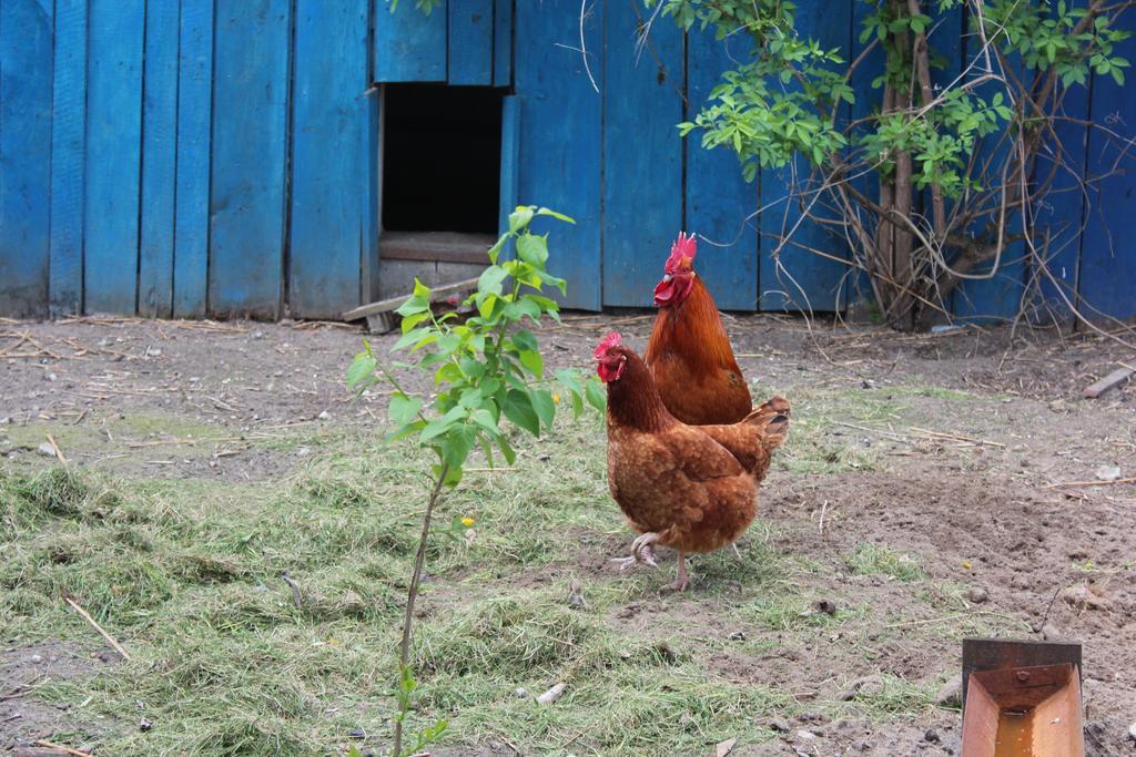 Agroturystyka Kociewiak Szteklin Esterno foto